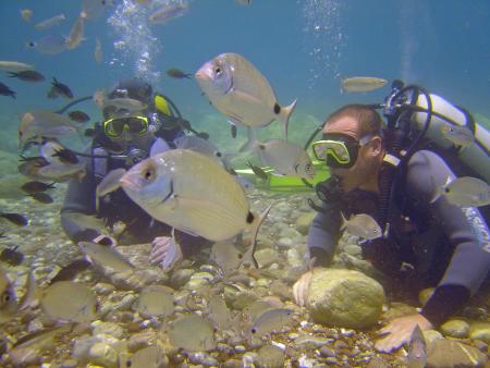 Atlantis Dive Centre Marmaris,Türkei