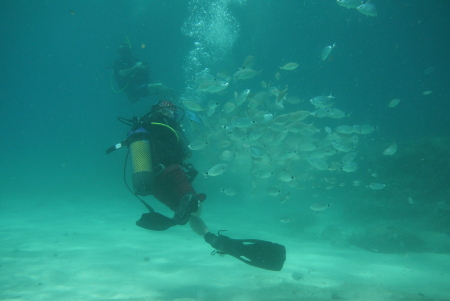 Aqua Sub Private Dive,Mallorca,Balearen,Spanien