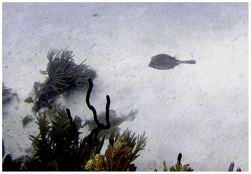 Bayahibe, Bayahibe,Dominikanische Republik