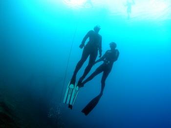 Faszination Freitauchen