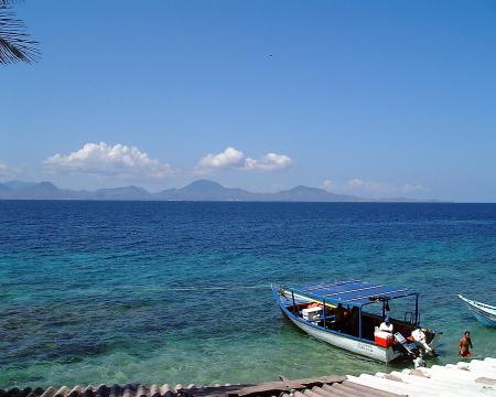 Scuba Pelicano,Isla Margarita,Juan Griego / Venezuela,Venezuela