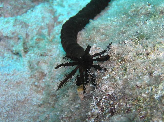 Kas -- Kalkan, Kalkan,Türkei