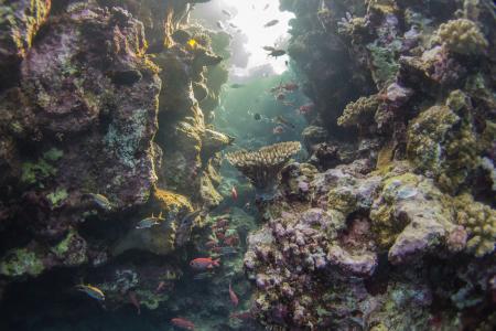 diving.DE el Flamenco,El Quseir bis Port Ghalib,Ägypten