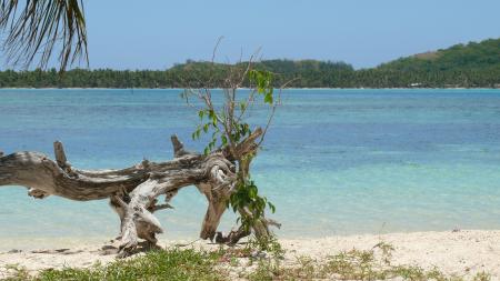 BWT Travel,Fidschi