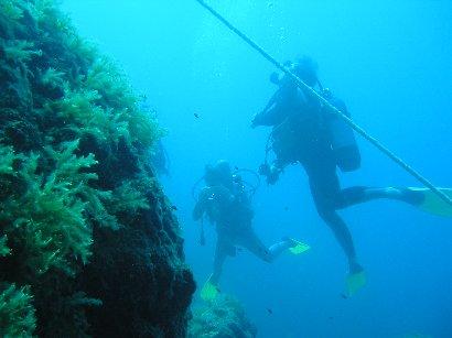 A & P Divers,Incekum (früher in Alanya),Türkei