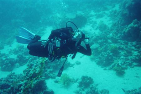 Blue Sea Diving Center,Sharm el Sheikh,Sinai-Süd bis Nabq,Ägypten