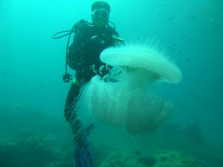 Aquadivers,Nai Thon,Phuket,Andamanensee,Thailand
