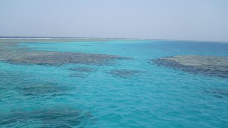 Sataya Dolphin Reef,Ägypten