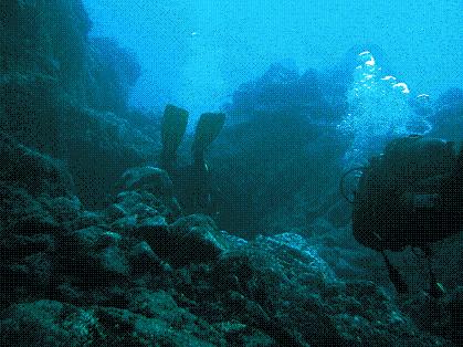 Buceo-Sub La Palma,Kanarische Inseln,Spanien