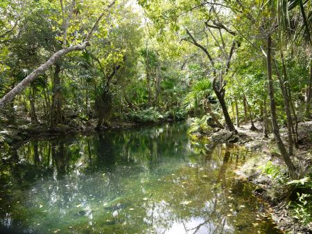 Cenote-Diving.Com,Mexiko
