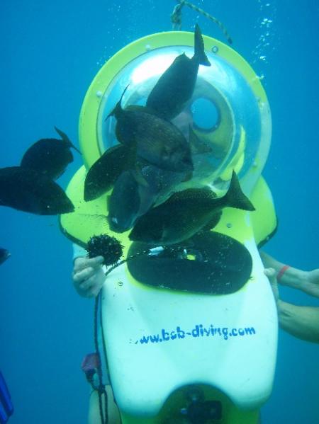 BOB-Diving,Playa de las Americas,Teneriffa,Kanarische Inseln,Spanien