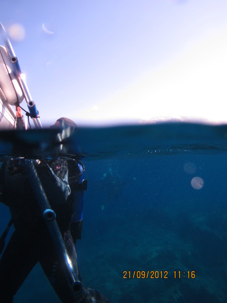 Diving Calvi a Piaghja (Korsika),Frankreich