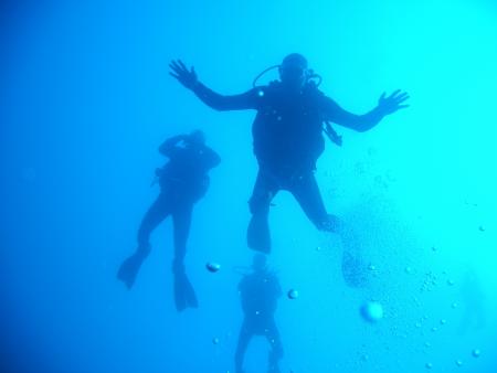 Best Diving Mallorca,Paguera-Palma,Mallorca,Balearen,Spanien