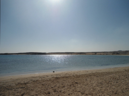 Oriental Bay,Marsa Alam,Ägypten