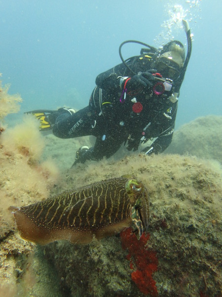 Atlantic Diving,Puerto de Mogan,Gran Canaria,Kanarische Inseln,Spanien