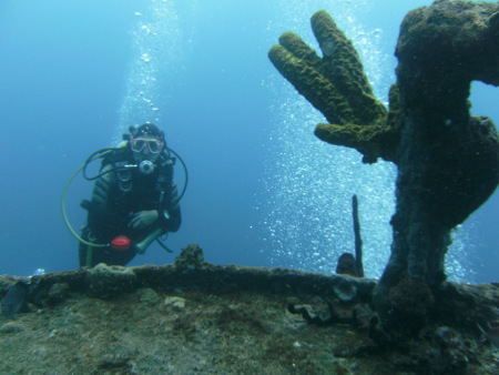 Tropical Sea Divers,Boca Chica,Dominikanische Republik