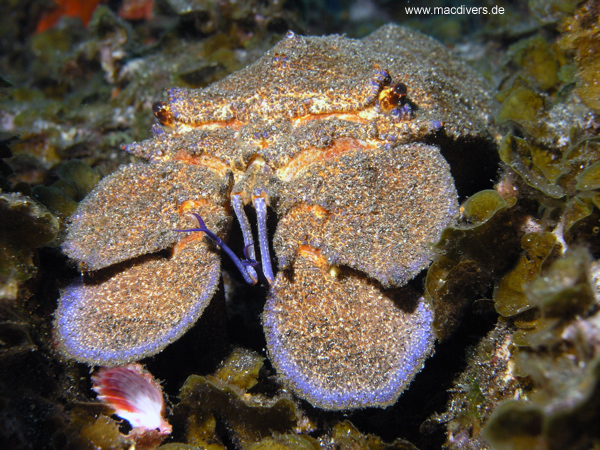 El Hierro, El Hierro,Spanien