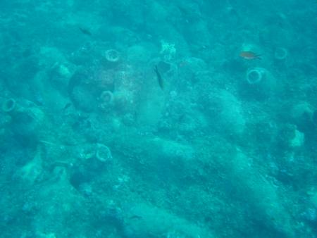 Aquarius Diving Dubrovnik,Kroatien