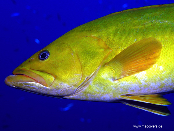 El Hierro, El Hierro,Spanien
