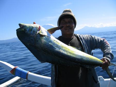 Safety Stop,Tulamben,Bali,Indonesien