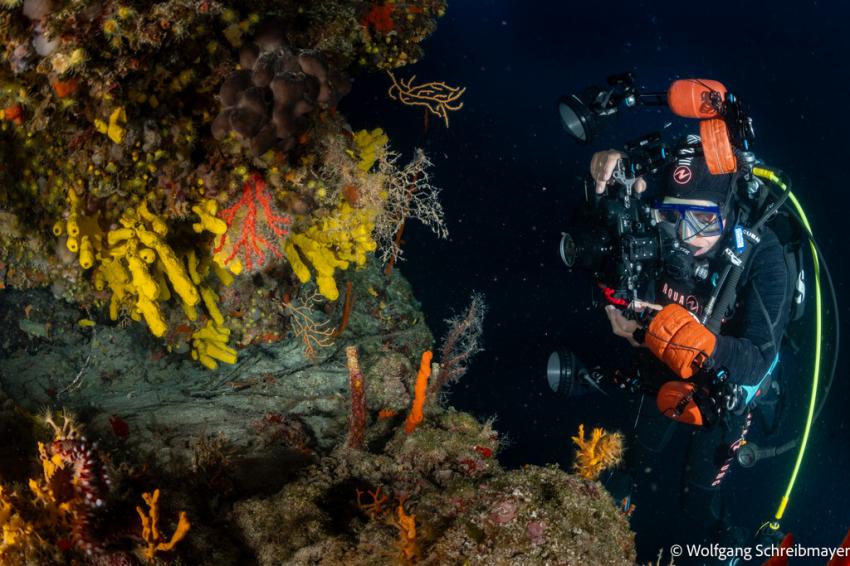 Punta Diving, Betina, Kroatien