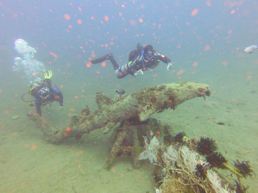 Dive Society @ Sea Dream Resorts, Dauin, Philippinen