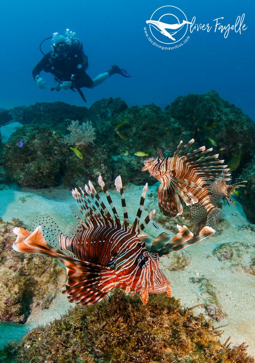 TEC Diving Mauritius, Mauritius