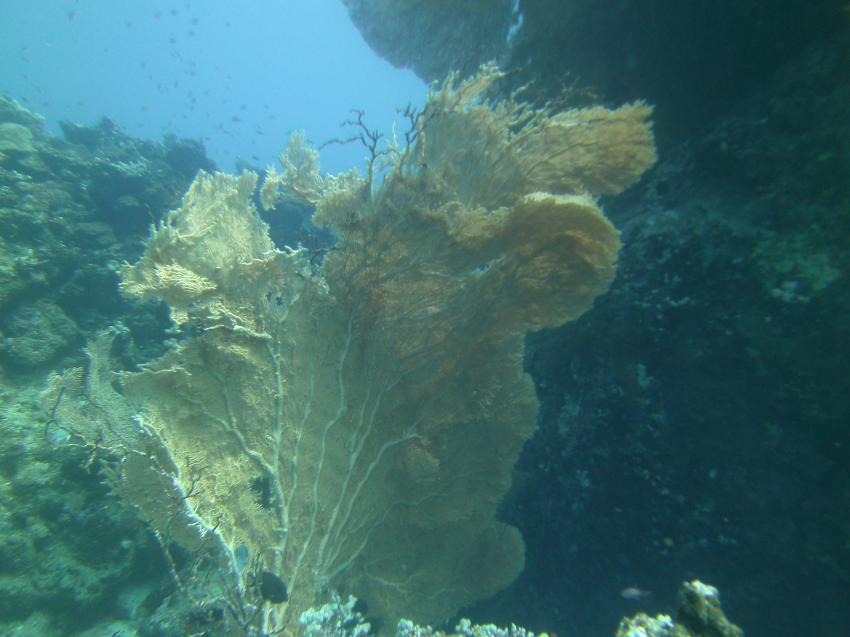 PANORAMA Guesthouse & Restaurant, Safaga, Ägypten, Safaga