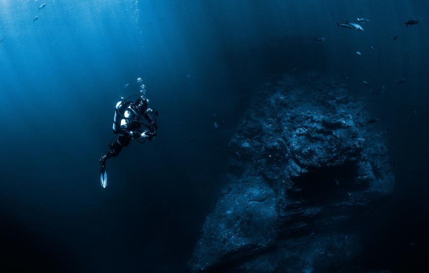 Deep Diving, Deep Diving, Dive and Sea Tenerife, Spanien, Kanaren (Kanarische Inseln)