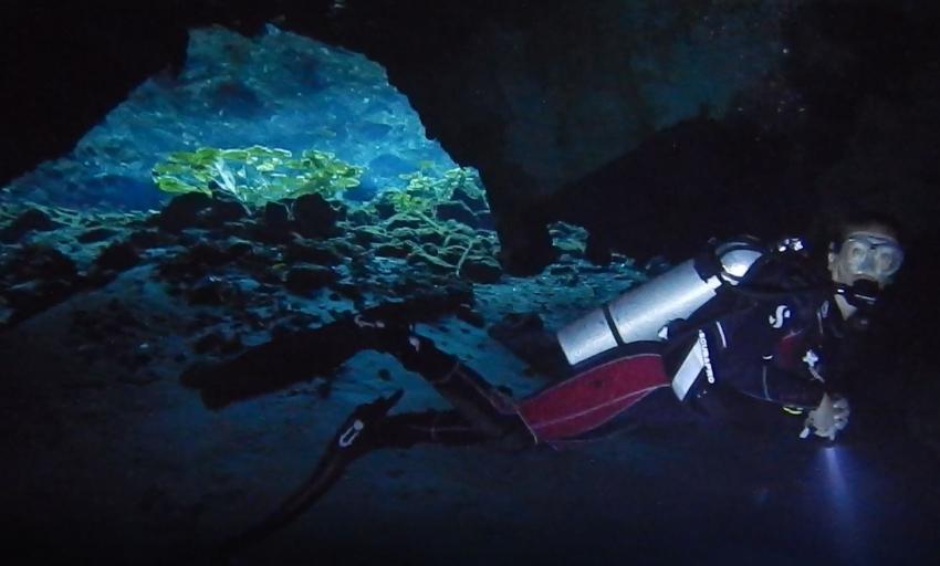 diving.DE Cenotes (Cenote-Diving.Com), Mexiko