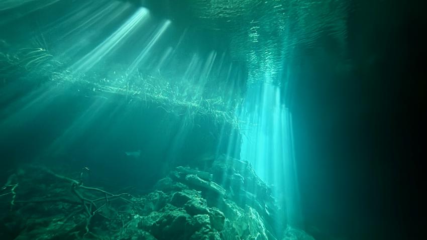 Yucatek Divers, Playa del Carmen, Mexiko