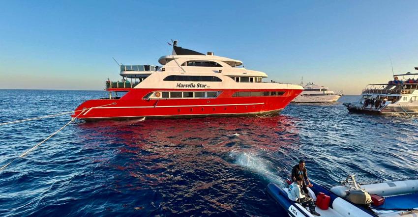 MV Marselia Star, Ägypten