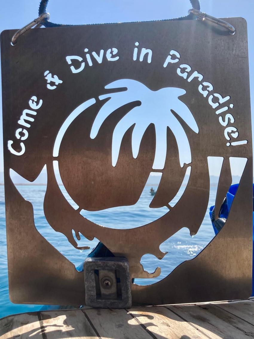 Tauchurlaub bei unserer Tauchbasis Volkert Dive Center - jetzt buchen unter www.volkert-touristik.de, Tauchen Ägypten Volkert Touristik Tauchreisen Tauchurlaub, Volkert Touristik, Ägypten