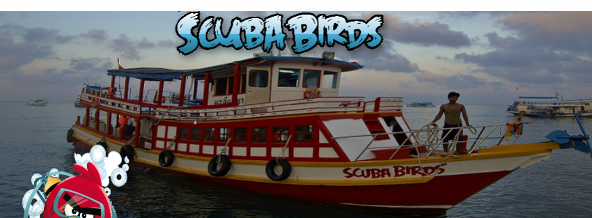 Boot, Scuba Birds (Koh Tao), Thailand, Golf von Thailand