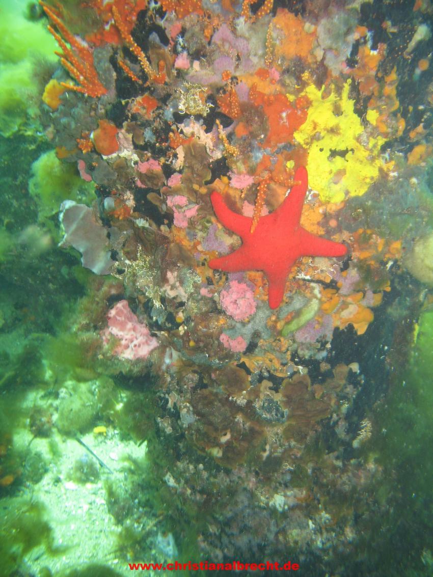 Busselton Jetty, Busselton, Westaustralien, Busselton Jetty,Australien