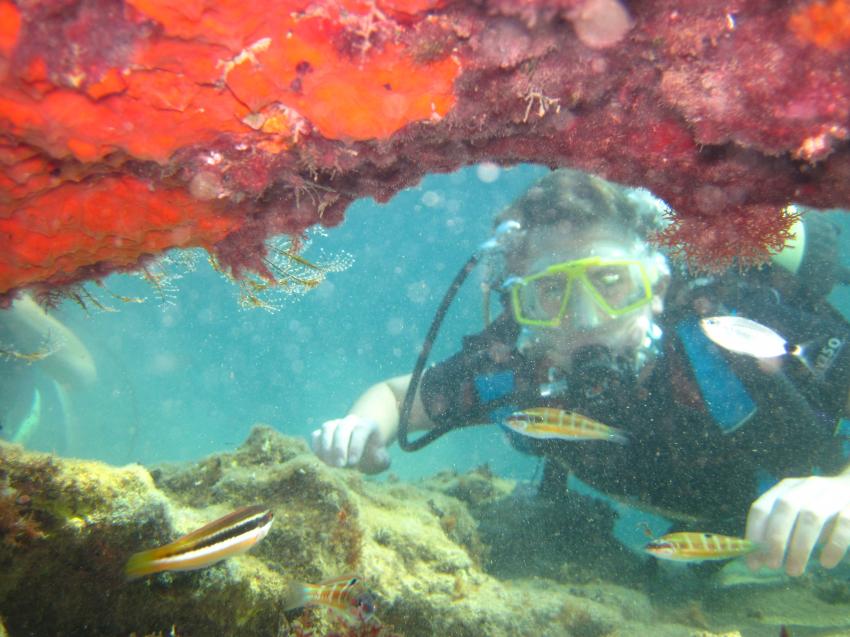 coral, deep sea diving karaburun,Türkei