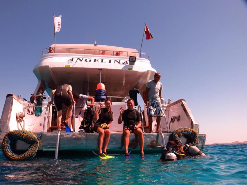 Boat Diving , Sinai Dive Club, Hilton Sharks Bay, Sharm el Sheikh, Ägypten, Sinai-Süd bis Nabq