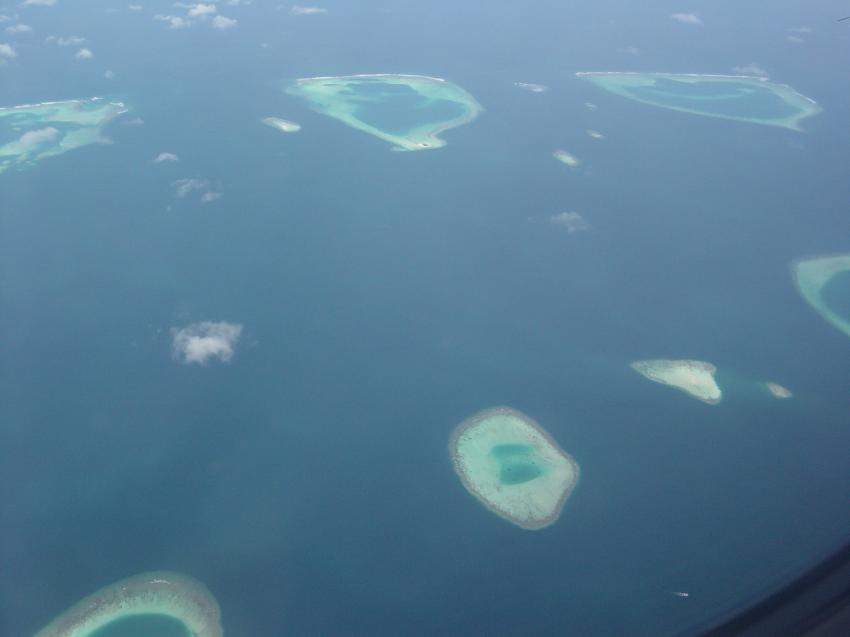 Handhu Falhi Tauchsafari, Handhu Falhi,Malediven,atolle,spiegeleier,luftaufnahme