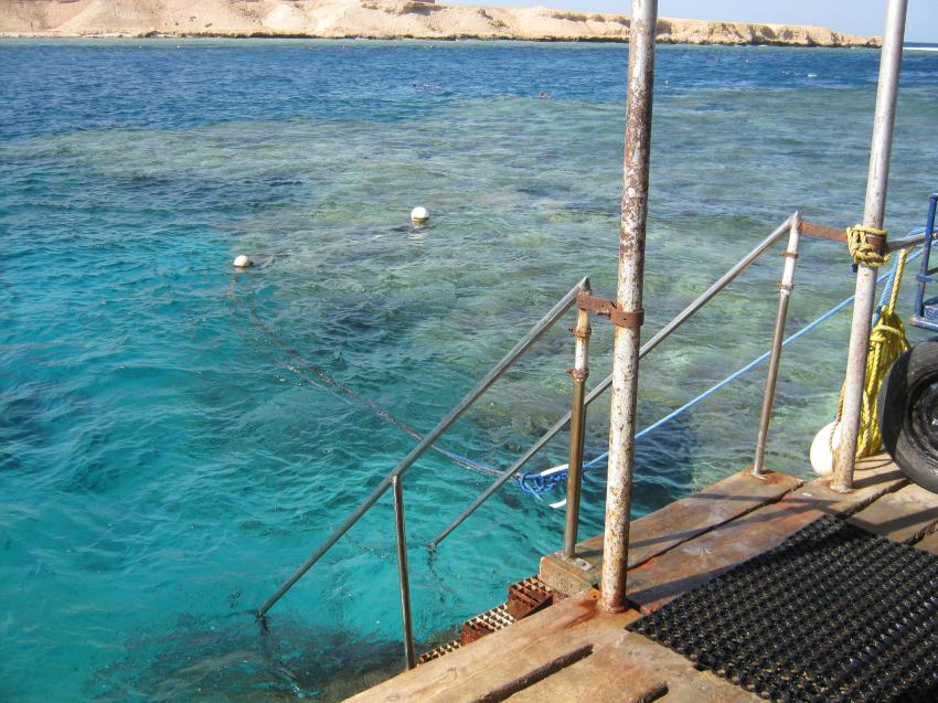 Blick ins Wasser vom Steg, Coraya Divers, Coraya Beach, Marsa Alam, Ägypten, Marsa Alam und südlich