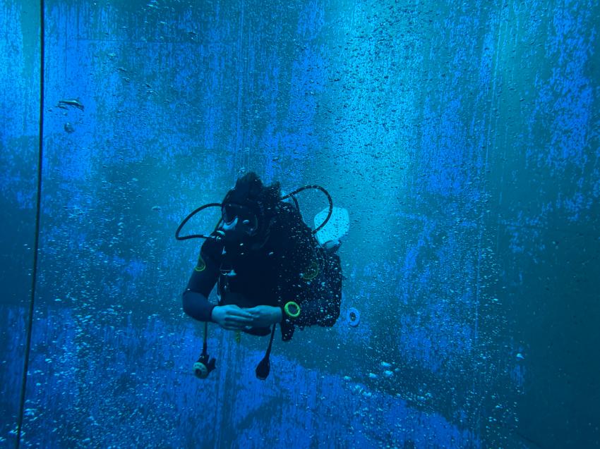 profrie-dive - Wolfgang Friebe, Aachen, Deutschland, Nordrhein-Westfalen