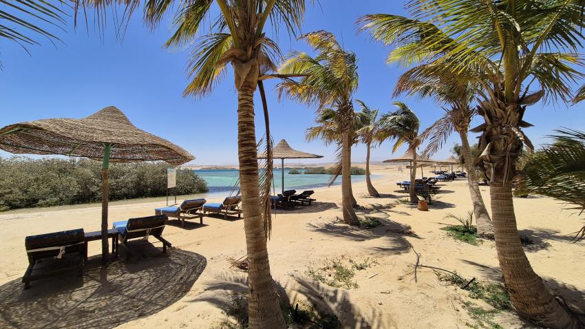 Mangrove Bay Resort, Ägypten, El Quseir bis Port Ghalib