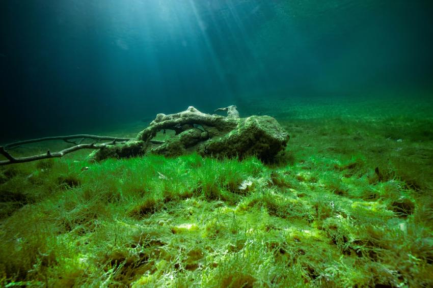 Fernsteinsee / Sameranger See, Österreich