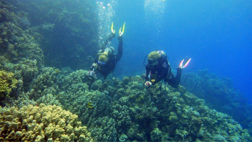 Scuba_World_Divers_Marsa_Alam_5, Tauchen in Marsa Alam, Scuba World Divers Marsa Alam, Lagoon View Resort, Ägypten, El Quseir bis Port Ghalib