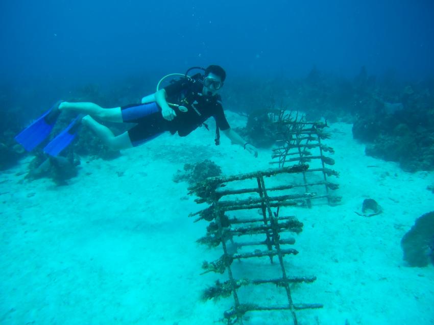 Unterwasser gibts oft historisches zu sehen, Uwescuba, Marina Casa de Campo und Bayahibe, Dominikanische Republik