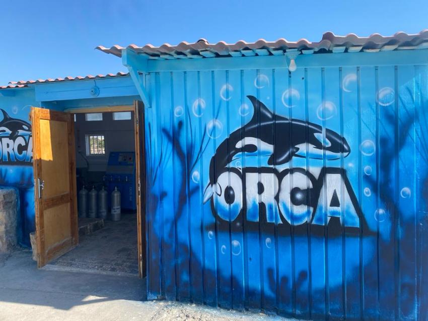 ORCA Dive Club Safaga Amarina Resort, Ägypten, Safaga