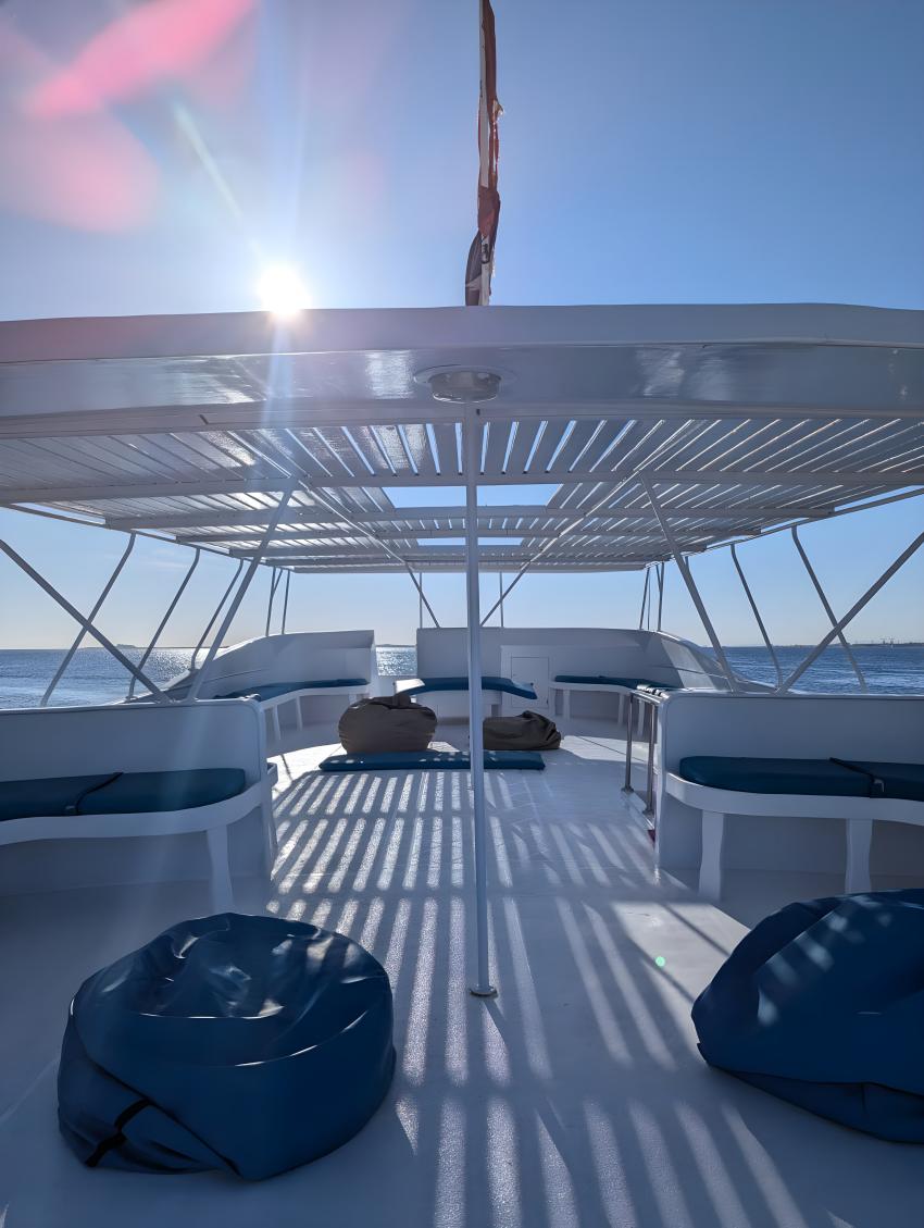 Tauchurlaub bei unserer Tauchbasis Volkert Dive Center - jetzt buchen unter www.volkert-touristik.de, Tauchen Ägypten Volkert Touristik Tauchreisen Tauchurlaub, Volkert Touristik, Ägypten