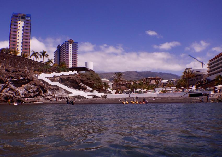 Hausriff Einstieg, Aquanautic Dive Center Tenerife (ex Barakuda ), Adeje, Teneriffa, Spanien, Kanaren (Kanarische Inseln)