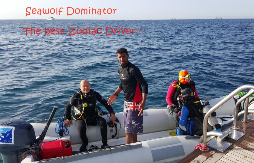 The Best Zodiak Driver, Sudan; Seawolf; Diving Safari; Tauchen; Riffkarte; Safariboot, Dominator, M/Y Seawolf Dominator, Sudan