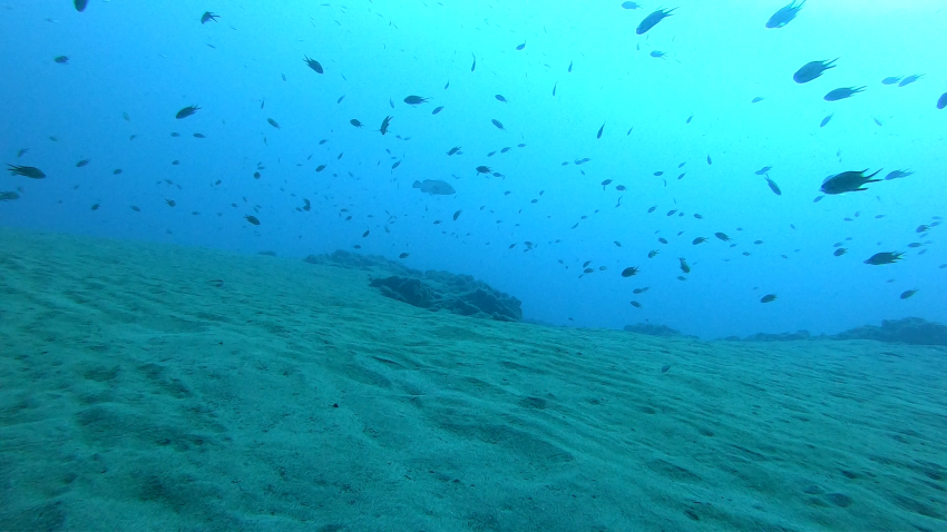 Tauchen auf Lanzarote mit Scuba Legends, Scuba Legends Dive Center Lanzarote, Spanien, Kanaren (Kanarische Inseln)