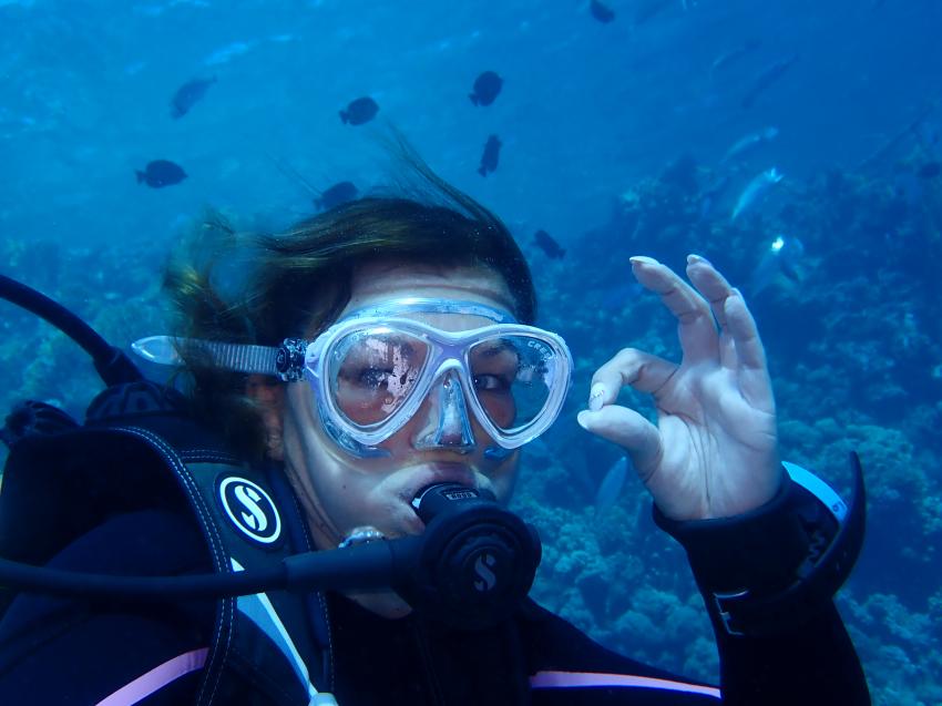 Scuba World Divers El Quseir, SENTIDO Oriental Dream Resort, Ägypten, El Quseir bis Port Ghalib